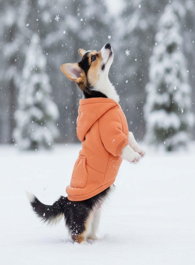 SilTriangle 3 Pcs Small Dog Winter Hoodie Warm Soft Puppy Dog Hoodie Sweatshirts with Pocket Pet Clothes for Dogs Cat Costume(S: Weight:6.6-9.4lb,Bright Color) - Image 4